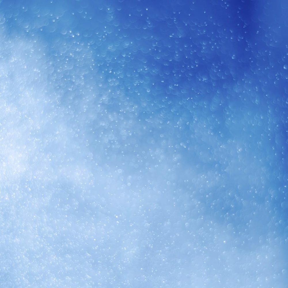 Meet your Posher, Informazioni